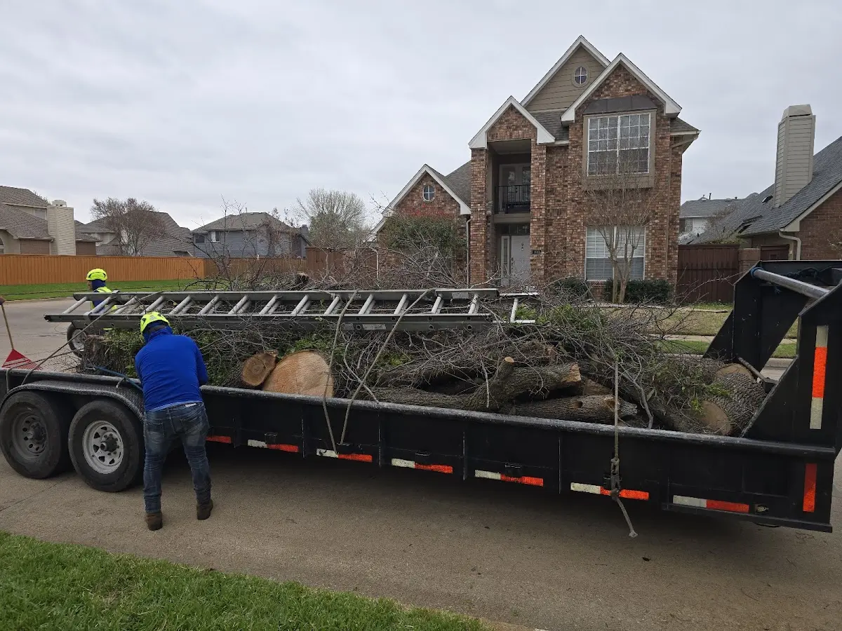 Expert Tree Removal with proper safety equipment in Cummings